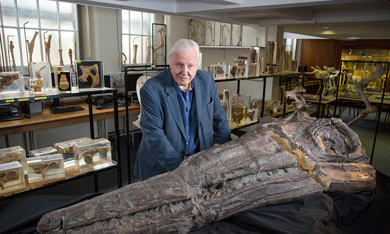 Sir David Attenborough se vrací na Viasat Nature